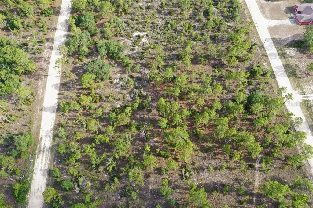 0000 NE 132 Terrace Lot 4 Terrace Williston FL 32696