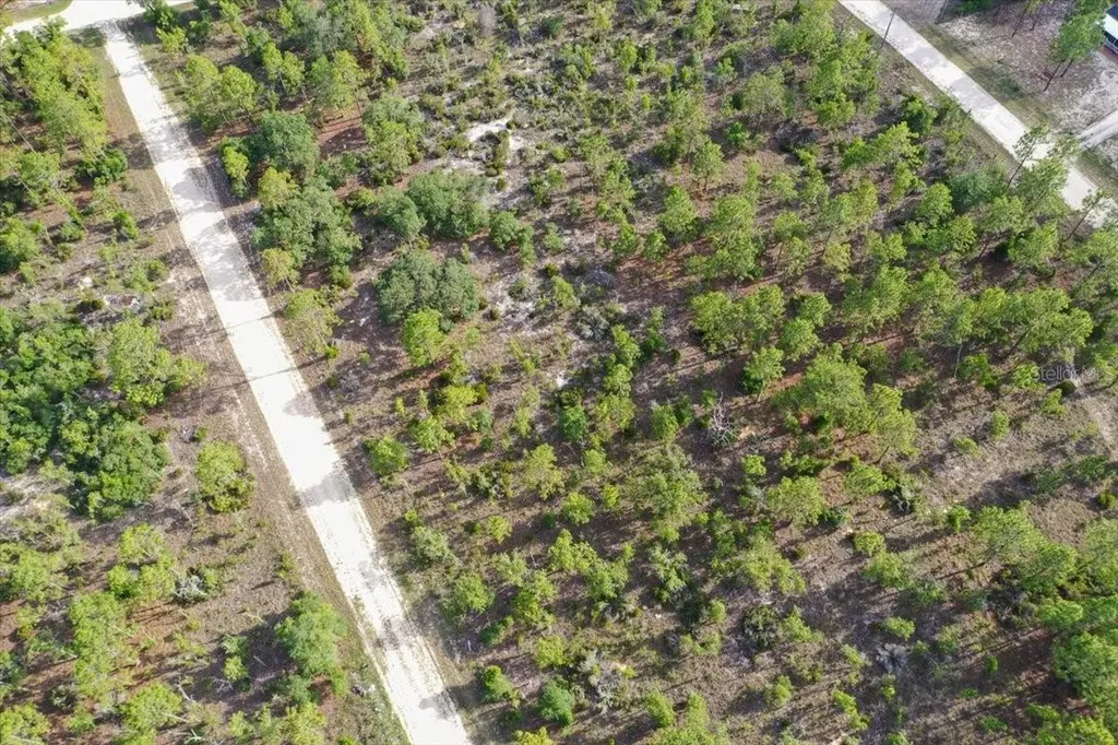 0000 NE 132 Terrace Lot 4 Terrace Williston FL 32696