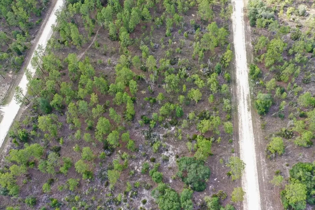 0000 NE 132 Terrace Lot 4 Terrace Williston FL 32696
