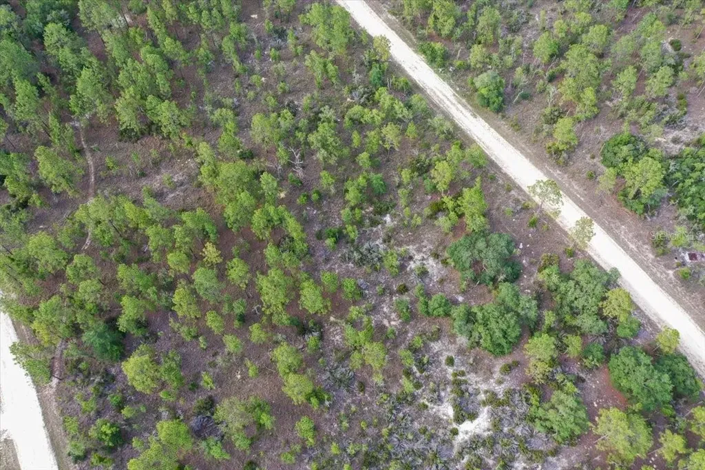 0000 NE 132 Terrace Lot 4 Terrace Williston FL 32696