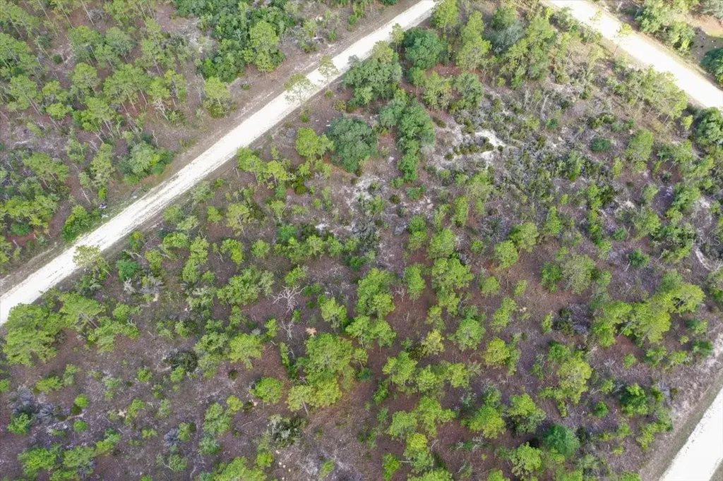 0000 NE 132 Terrace Lot 4 Terrace Williston FL 32696