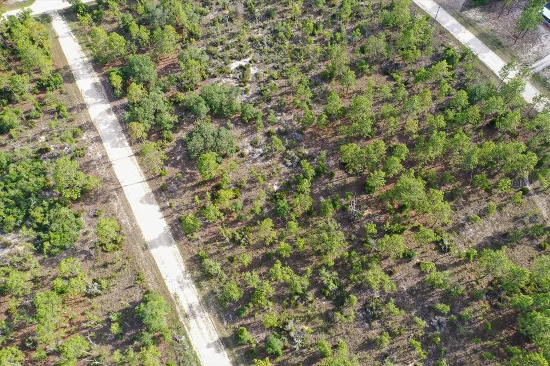 0000 NE 132 Terrace Lot 4 Terrace Williston FL 32696