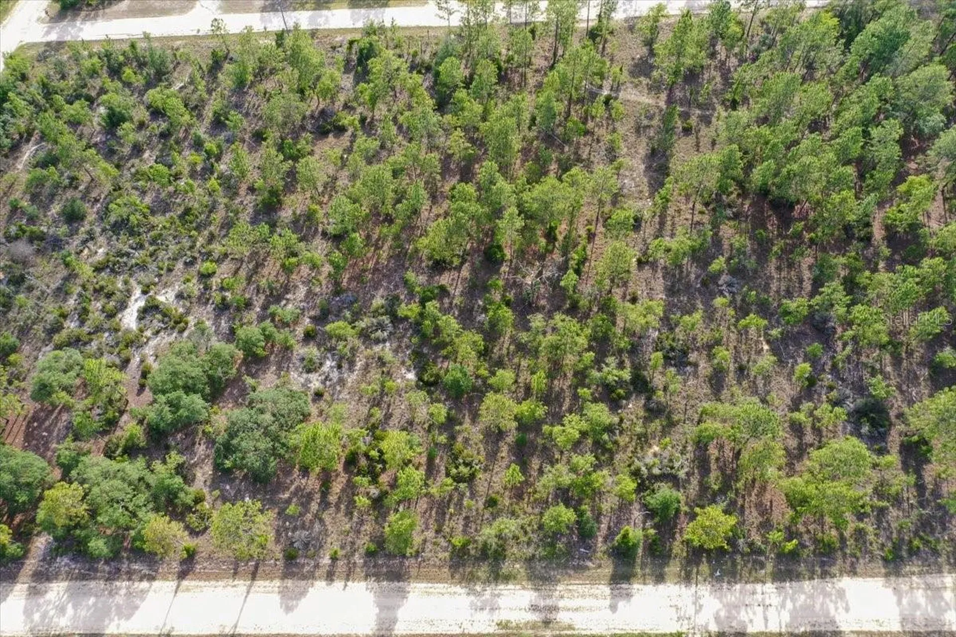 0000 NE 132 Terrace Lot 4 Terrace Williston FL 32696