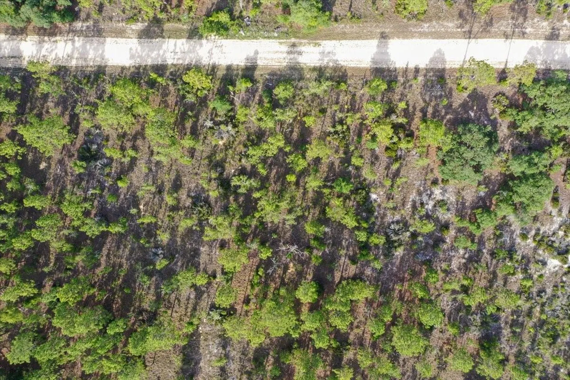 0000 NE 132 Terrace Lot 4 Terrace Williston FL 32696