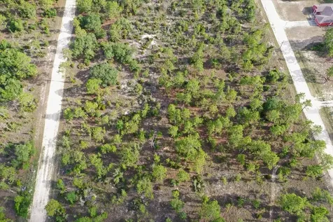 0000 NE 132 Terrace Lot 4 Terrace Williston FL 32696
