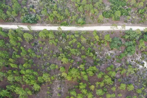0000 NE 132 Terrace Lot 4 Terrace Williston FL 32696