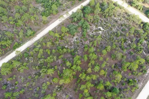 0000 NE 132 Terrace Lot 4 Terrace Williston FL 32696