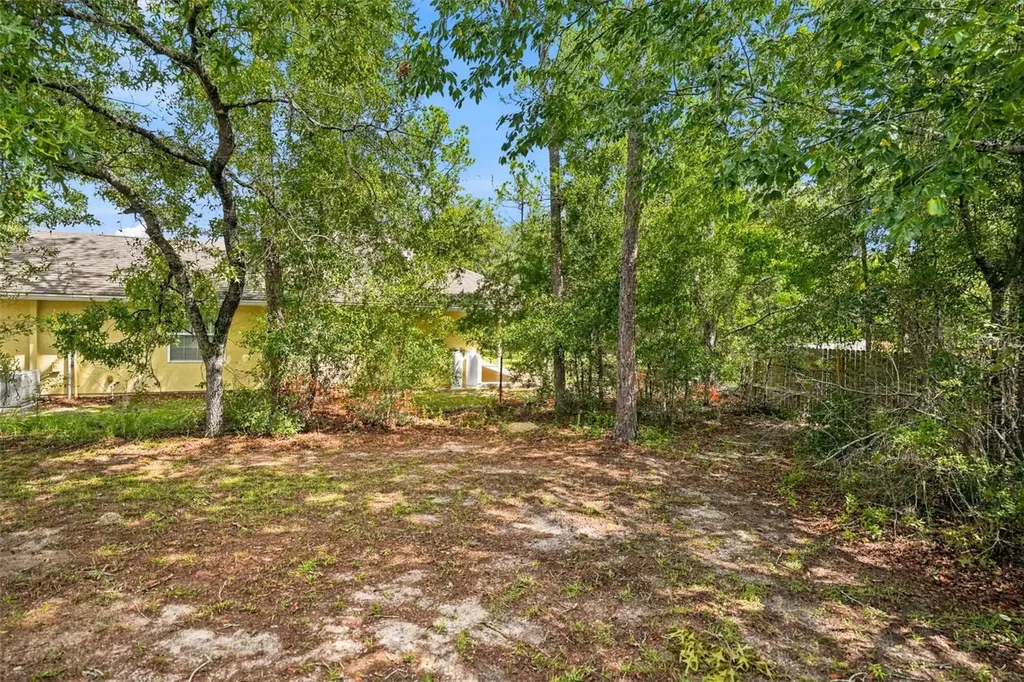 1325 W Sorrento Drive Citrus Springs FL 34434