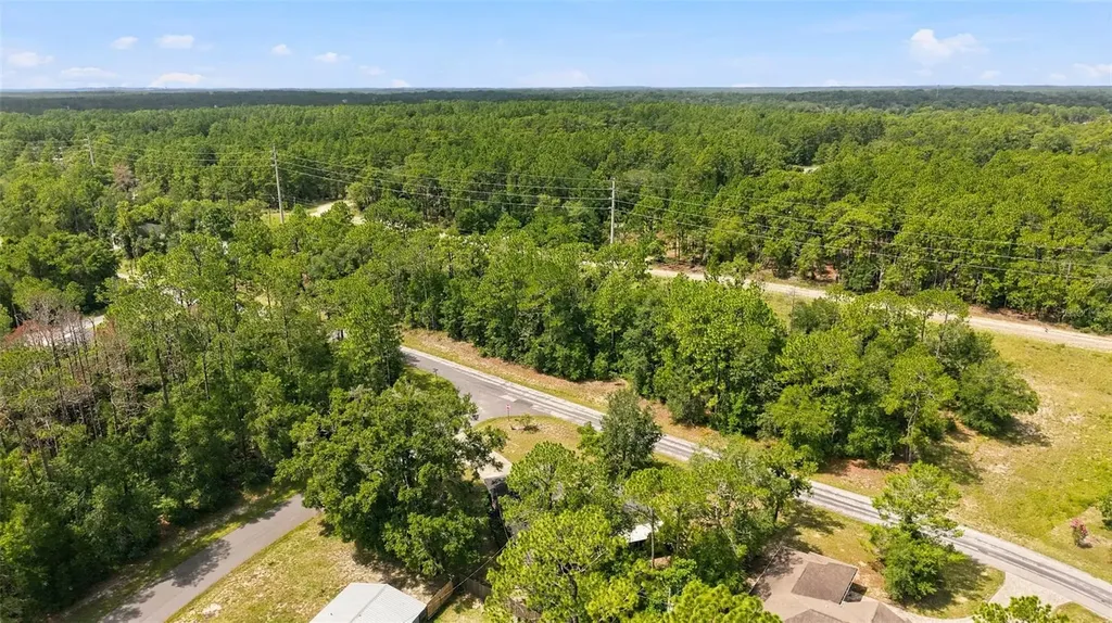 1325 W Sorrento Drive Citrus Springs FL 34434