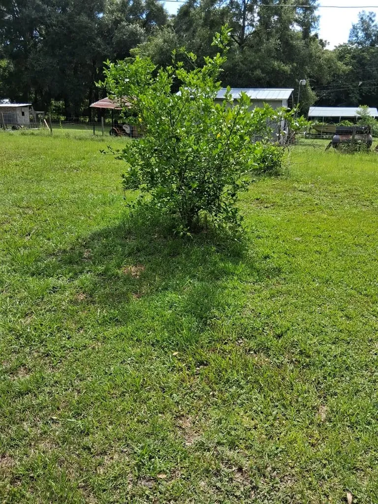 5741 NW 191st Place Reddick FL 32686