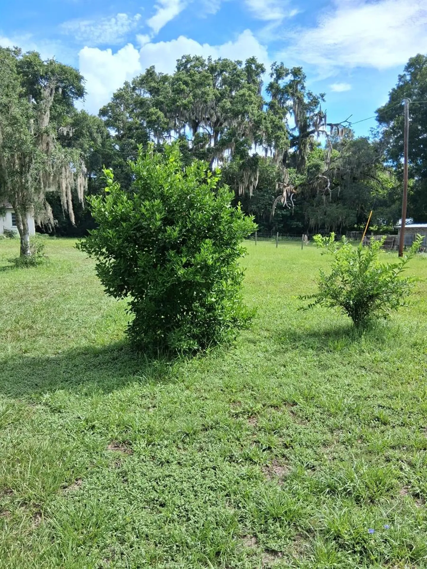5741 NW 191st Place Reddick FL 32686