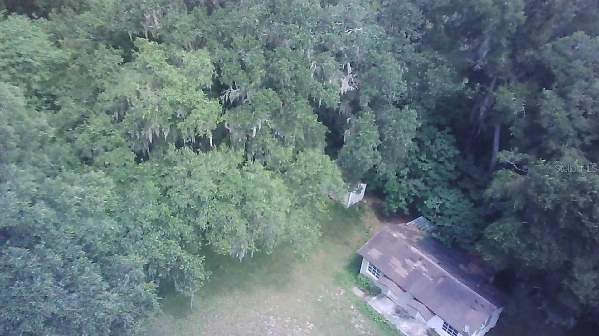 5741 NW 191st Place Reddick FL 32686