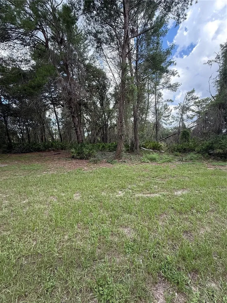 15625 Stable Run Drive Spring Hill FL 34610