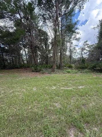 15625 Stable Run Drive Spring Hill FL 34610