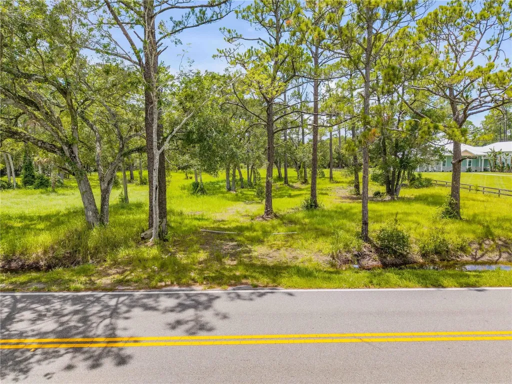 1172 Williams Road New Smyrna Beach FL 32168