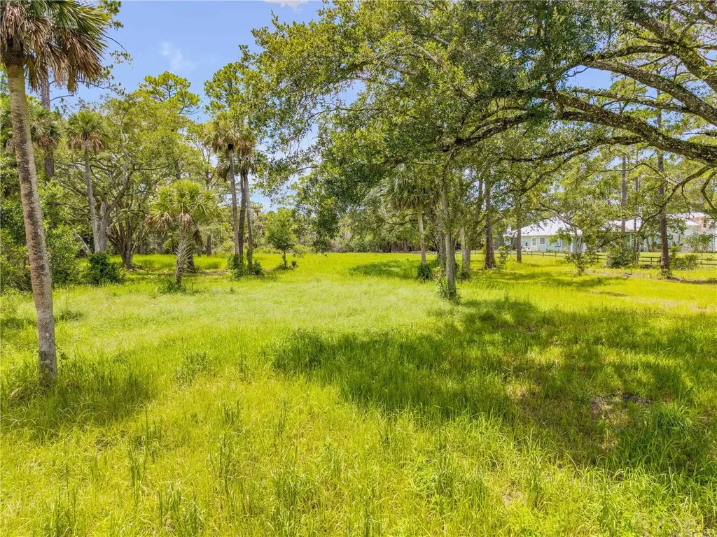 1172 Williams Road New Smyrna Beach FL 32168