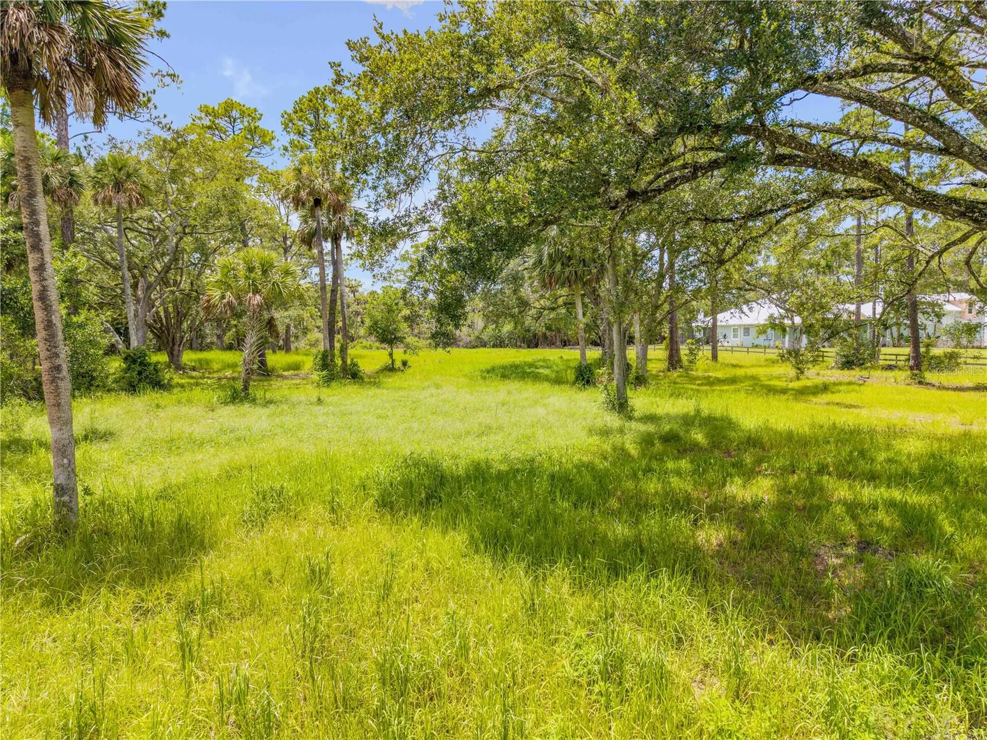 1172 Williams Road New Smyrna Beach FL 32168
