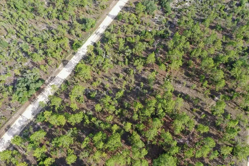 0000 NE 132 Terrace Lot 3 Terrace Williston FL 32696