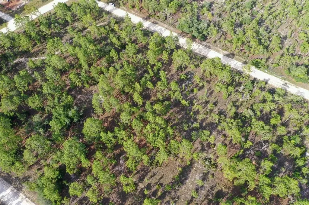 0000 NE 132 Terrace Lot 3 Terrace Williston FL 32696