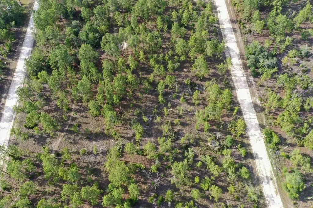 0000 NE 132 Terrace Lot 3 Terrace Williston FL 32696