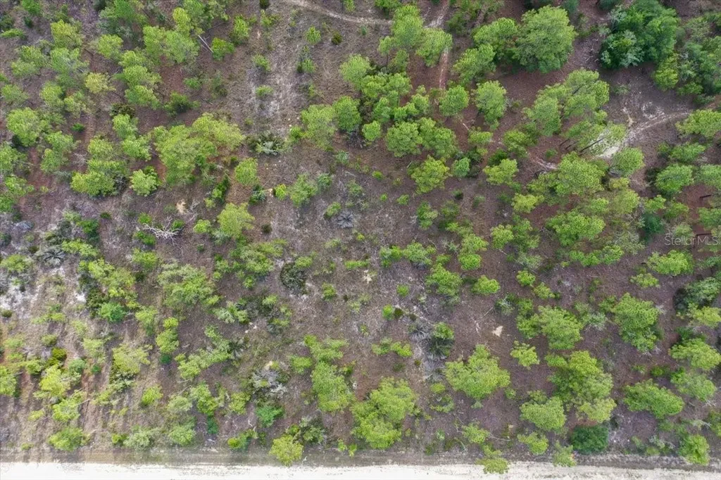0000 NE 132 Terrace Lot 3 Terrace Williston FL 32696