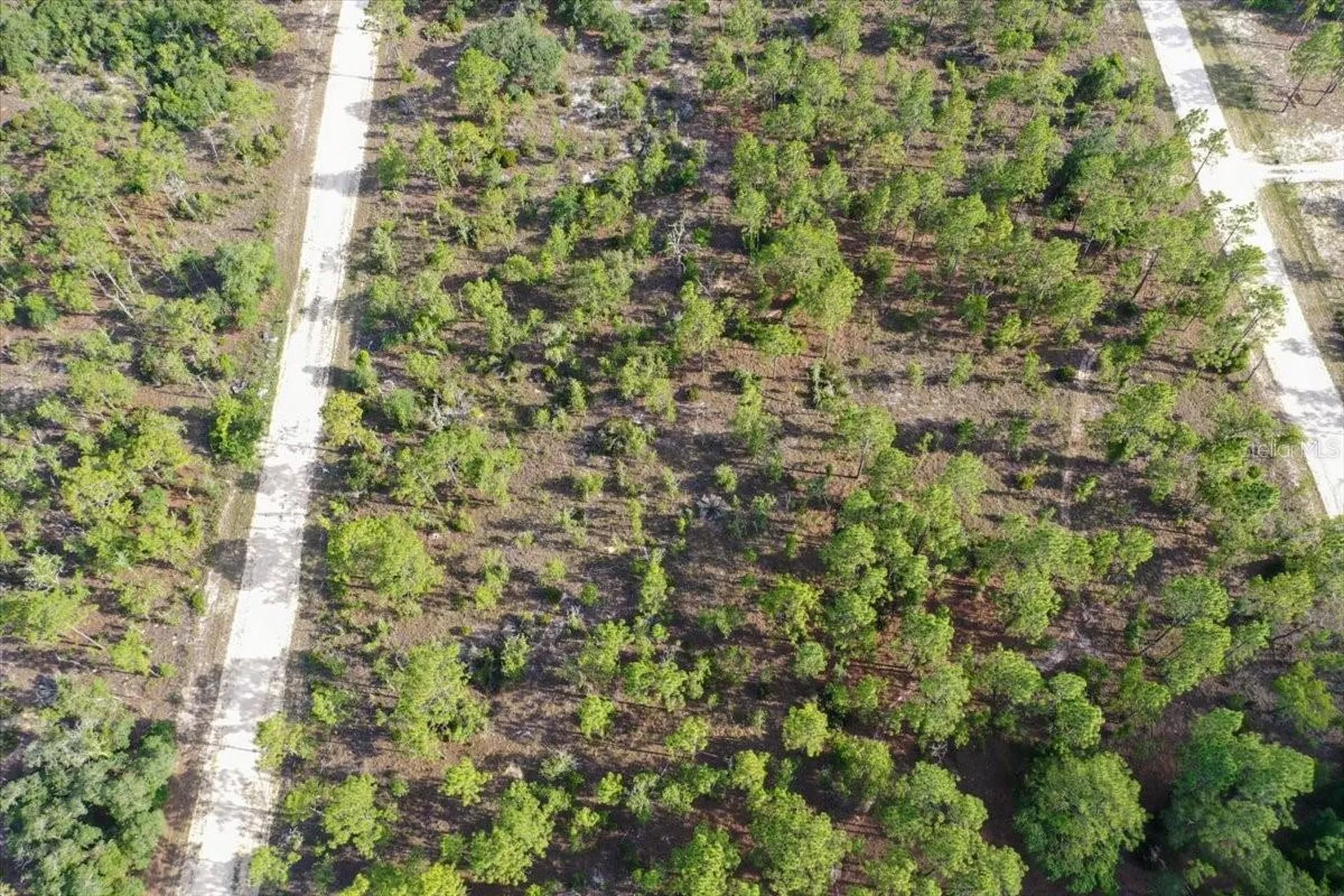 0000 NE 132 Terrace Lot 3 Terrace Williston FL 32696