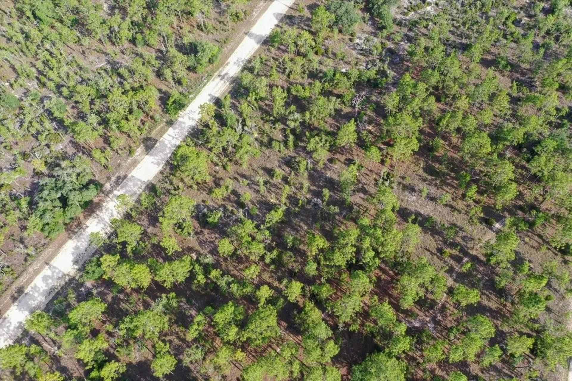 0000 NE 132 Terrace Lot 3 Terrace Williston FL 32696