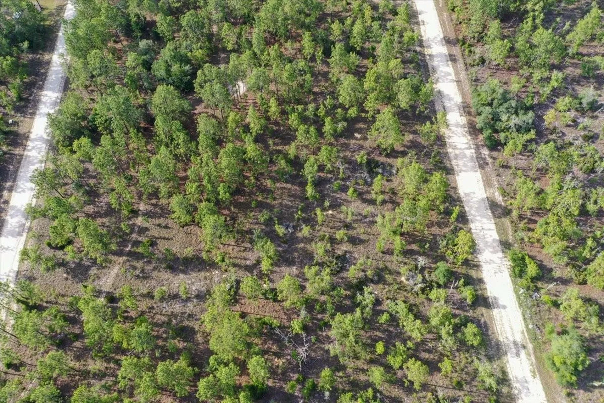 0000 NE 132 Terrace Lot 3 Terrace Williston FL 32696