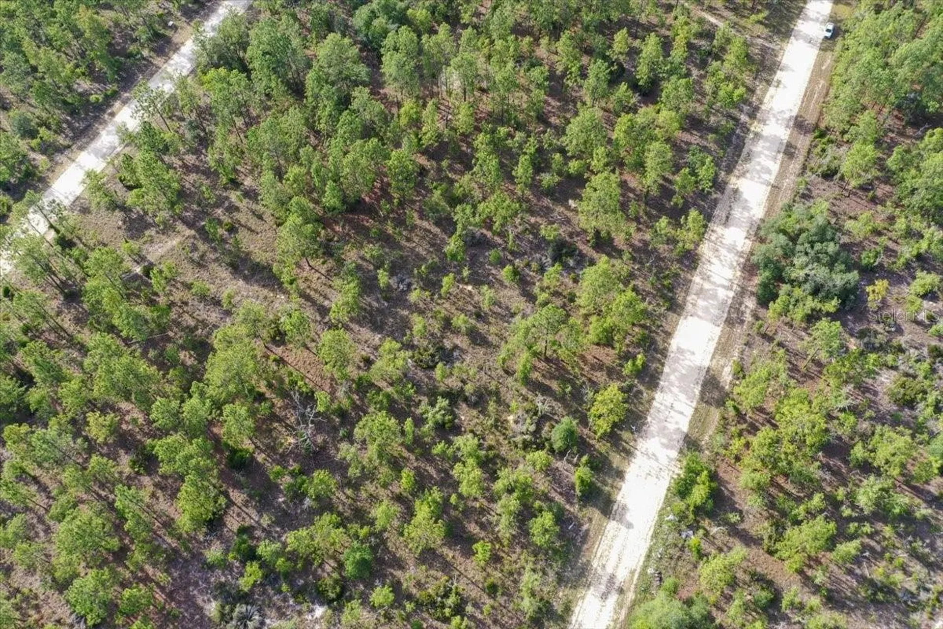 0000 NE 132 Terrace Lot 3 Terrace Williston FL 32696