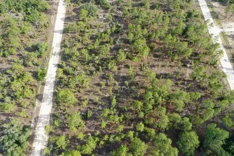0000 NE 132 Terrace Lot 3 Terrace Williston FL 32696