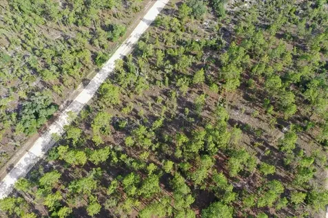 0000 NE 132 Terrace Lot 3 Terrace Williston FL 32696