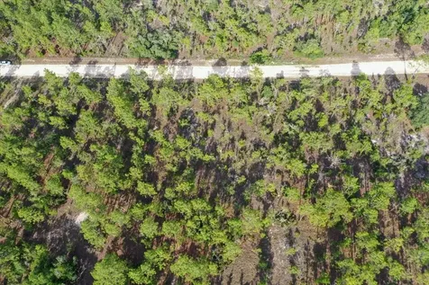 0000 NE 132 Terrace Lot 3 Terrace Williston FL 32696