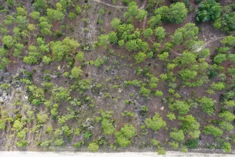 0000 NE 132 Terrace Lot 3 Terrace Williston FL 32696