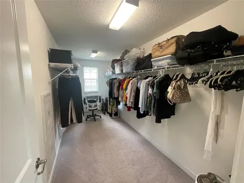 1596 Ludington Avenue Wesley Chapel FL 33543