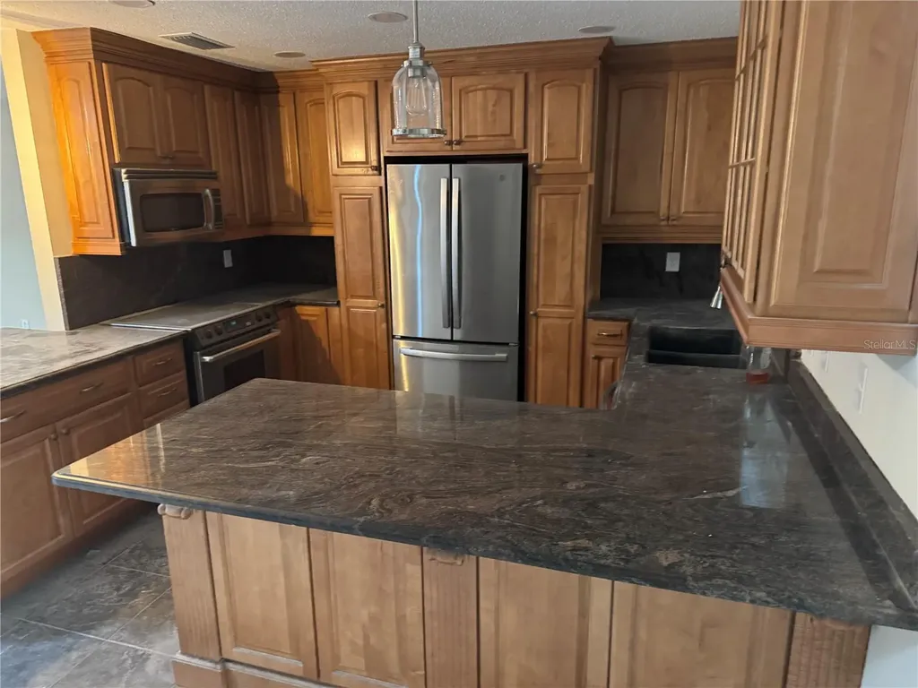 3215 Lake Saxon Drive Land O Lakes FL 34639