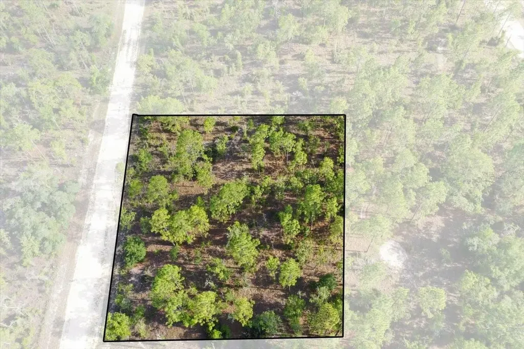 0000 NE 132 Terrace Lot 2 Terrace Williston FL 32696