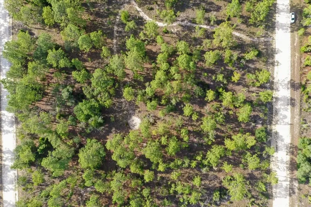 0000 NE 132 Terrace Lot 2 Terrace Williston FL 32696