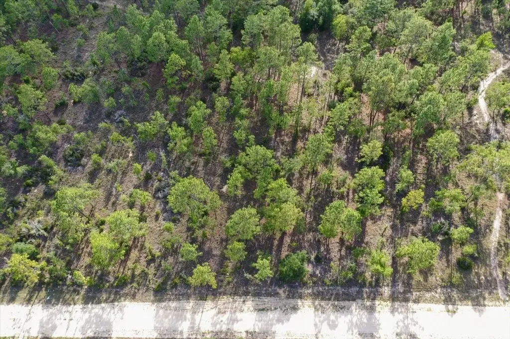 0000 NE 132 Terrace Lot 2 Terrace Williston FL 32696