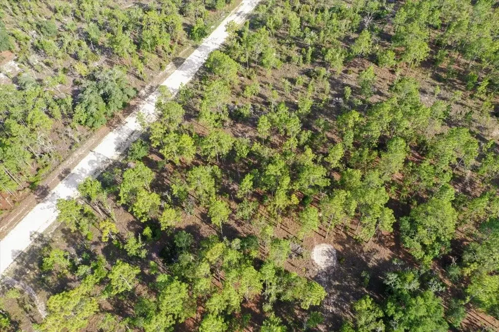 0000 NE 132 Terrace Lot 2 Terrace Williston FL 32696