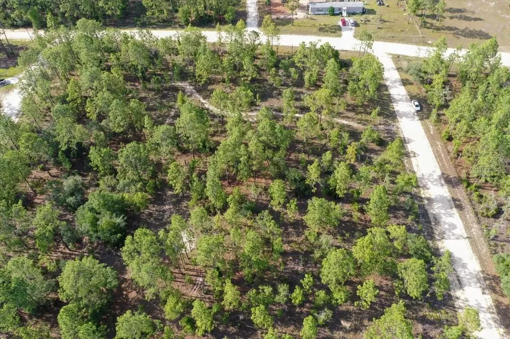 0000 NE 132 Terrace Lot 2 Terrace Williston FL 32696