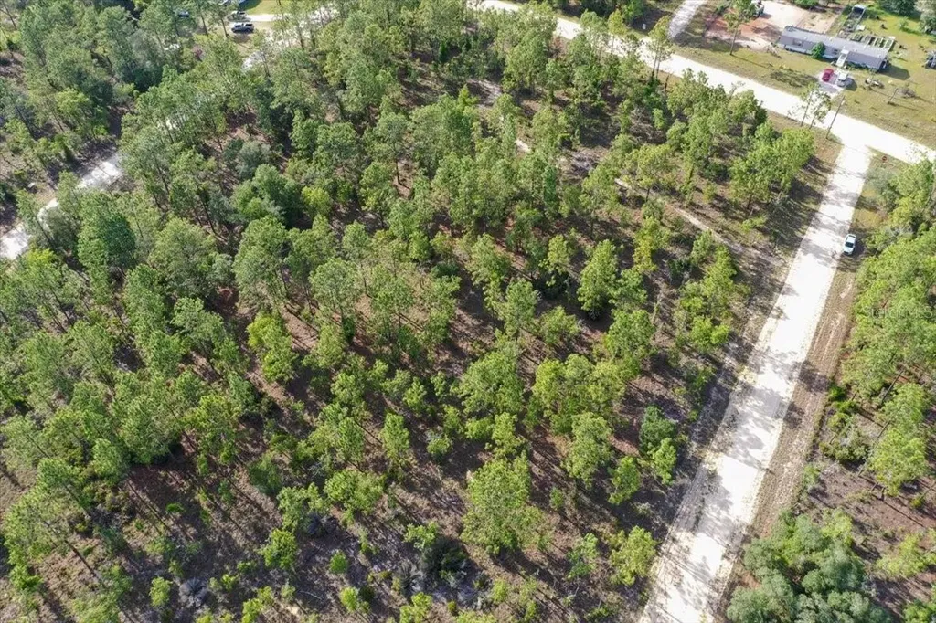 0000 NE 132 Terrace Lot 2 Terrace Williston FL 32696