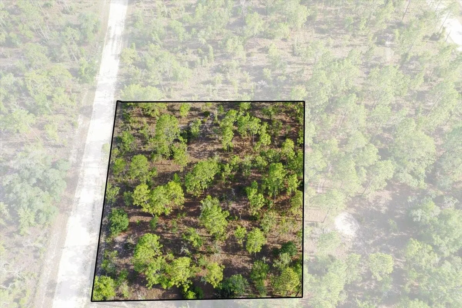 0000 NE 132 Terrace Lot 2 Terrace Williston FL 32696
