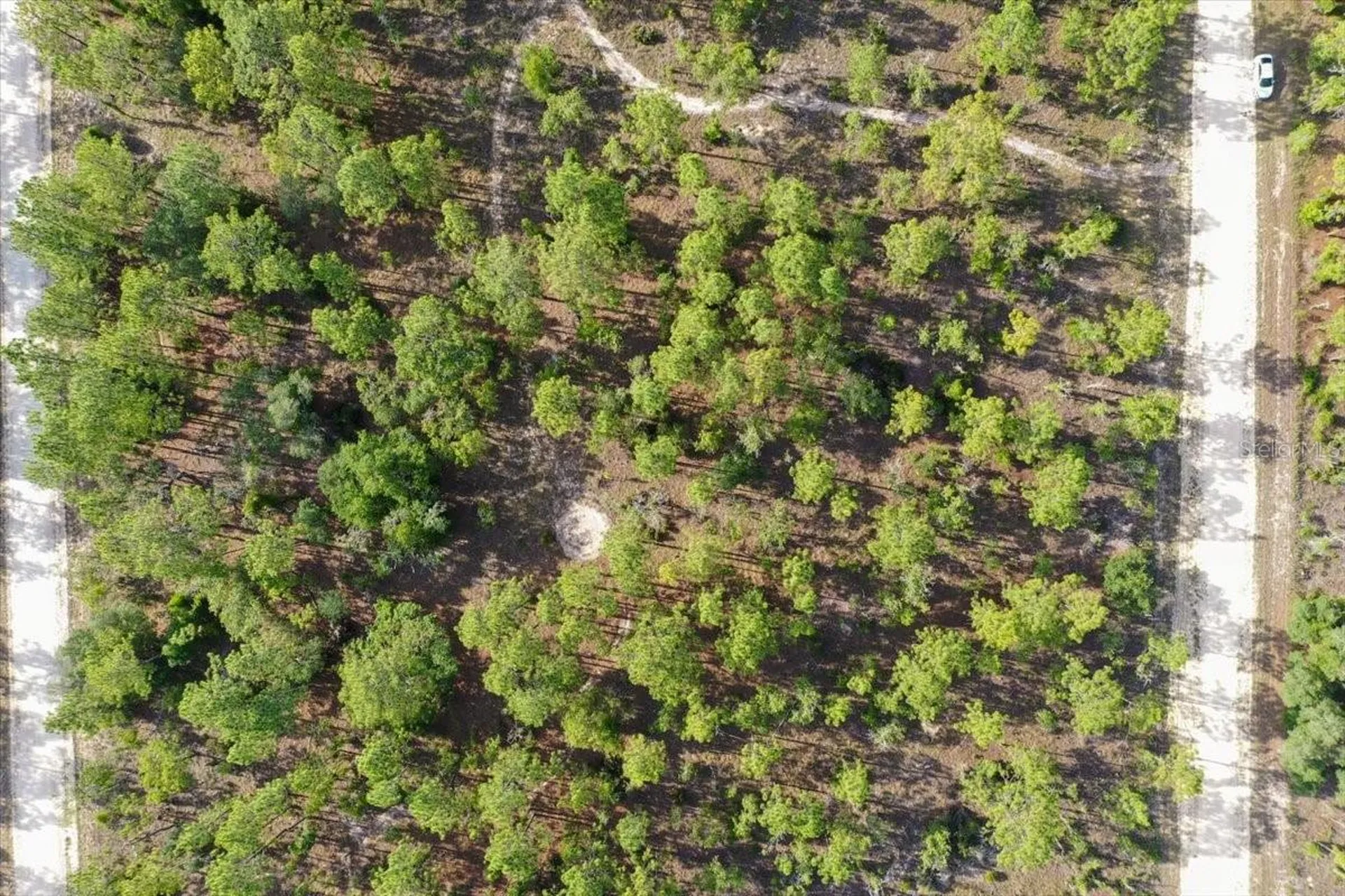 0000 NE 132 Terrace Lot 2 Terrace Williston FL 32696