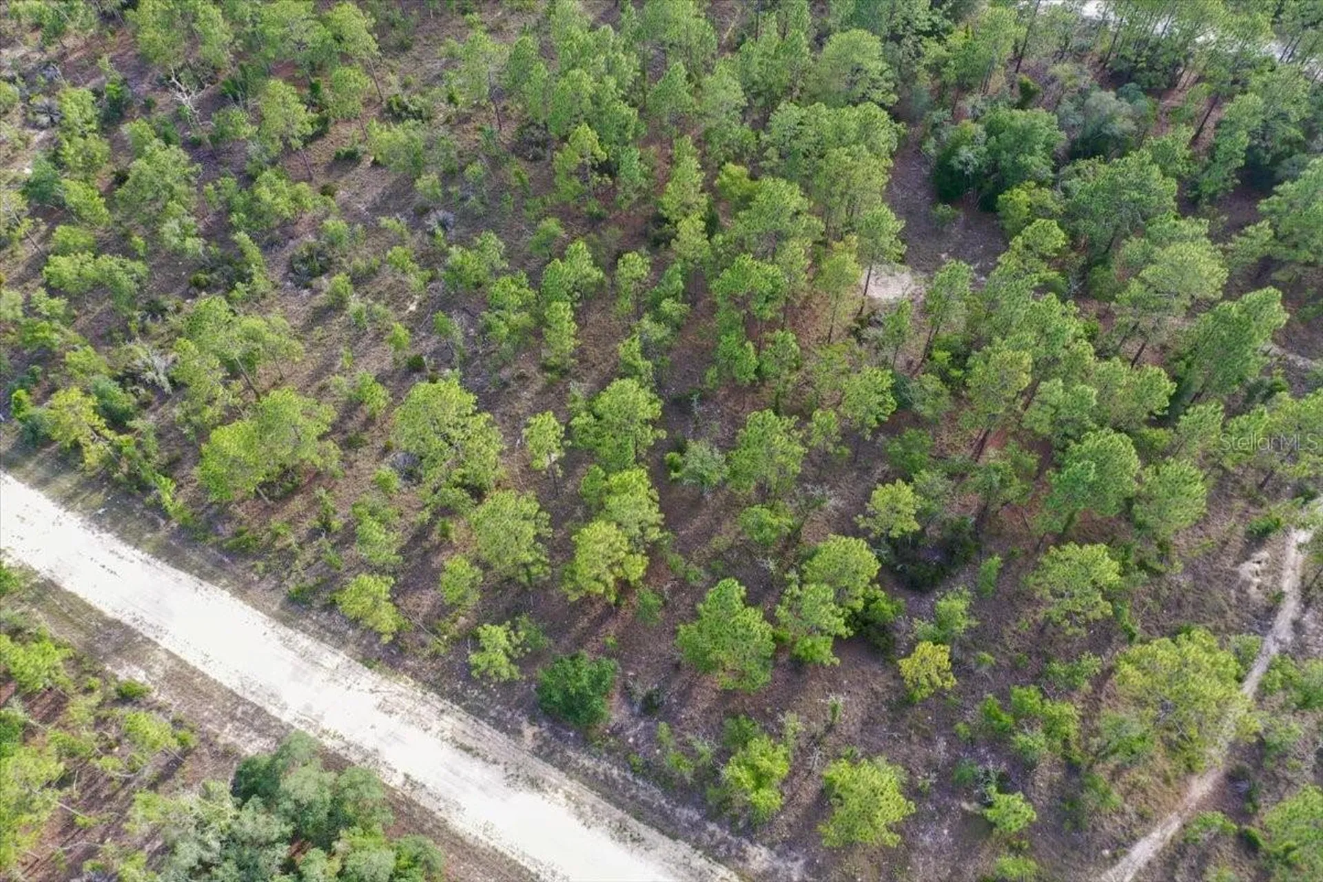 0000 NE 132 Terrace Lot 2 Terrace Williston FL 32696
