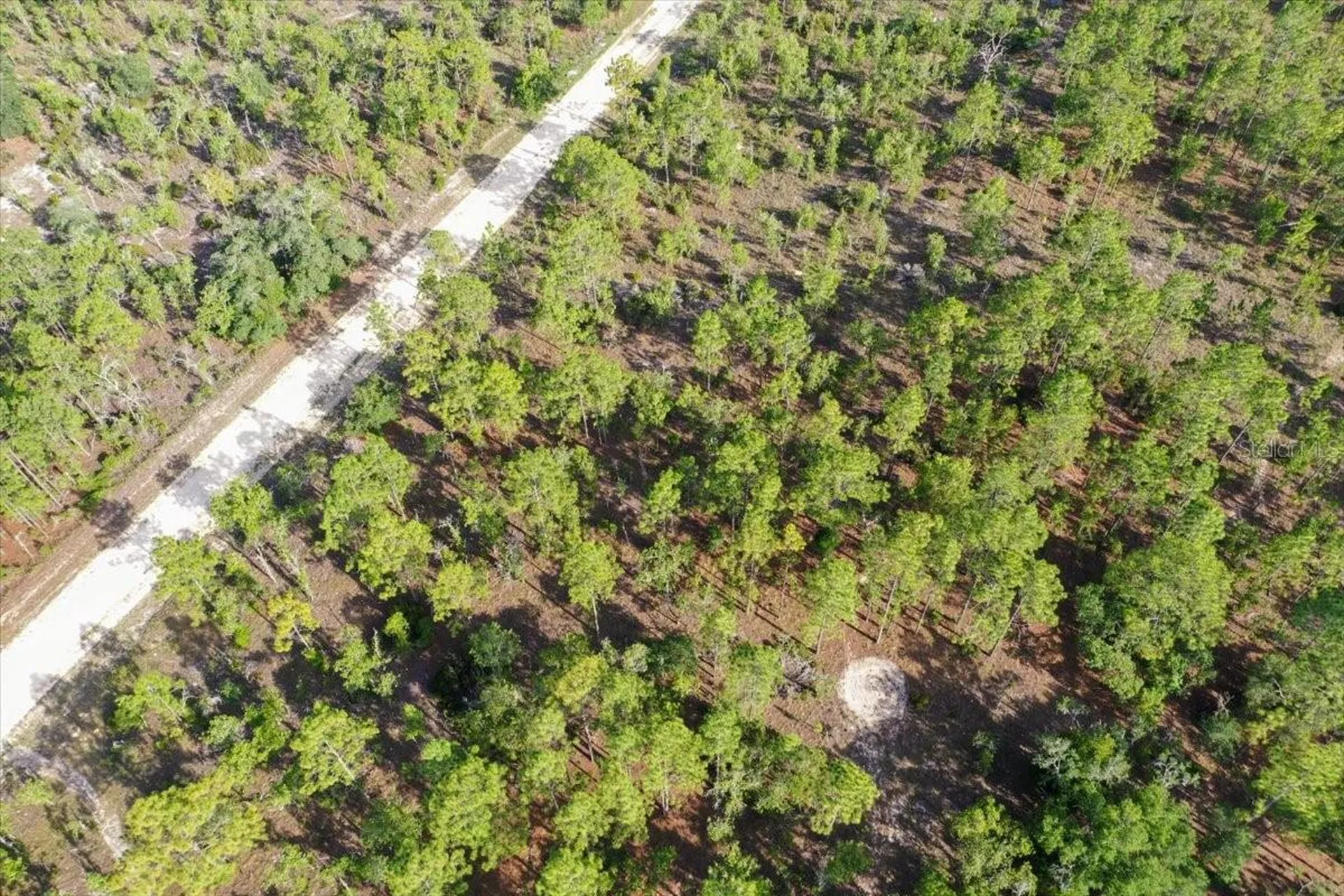 0000 NE 132 Terrace Lot 2 Terrace Williston FL 32696