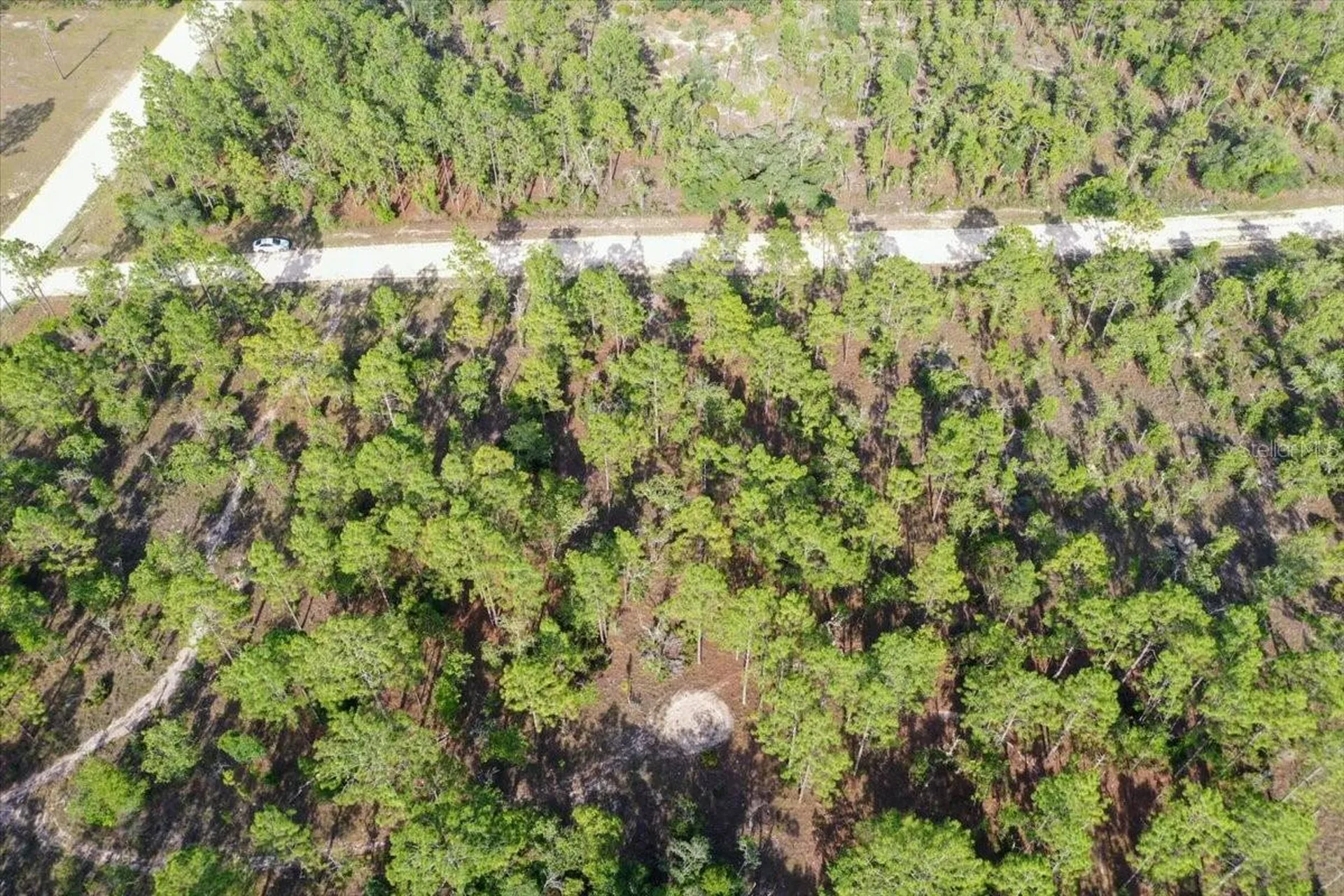 0000 NE 132 Terrace Lot 2 Terrace Williston FL 32696