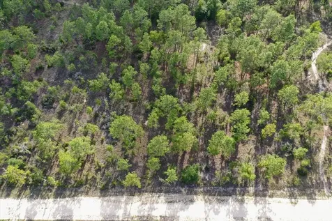 0000 NE 132 Terrace Lot 2 Terrace Williston FL 32696