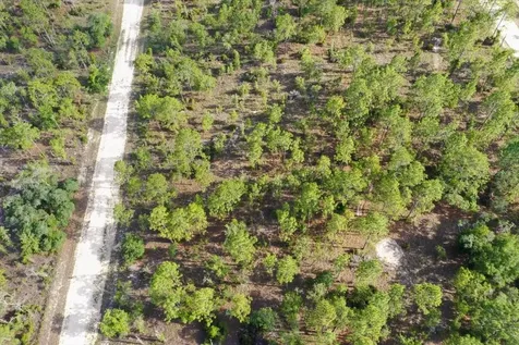 0000 NE 132 Terrace Lot 2 Terrace Williston FL 32696