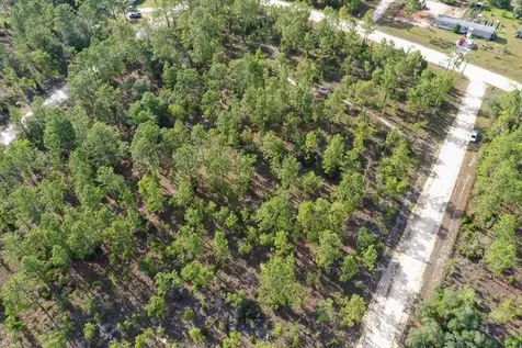 0000 NE 132 Terrace Lot 2 Terrace Williston FL 32696