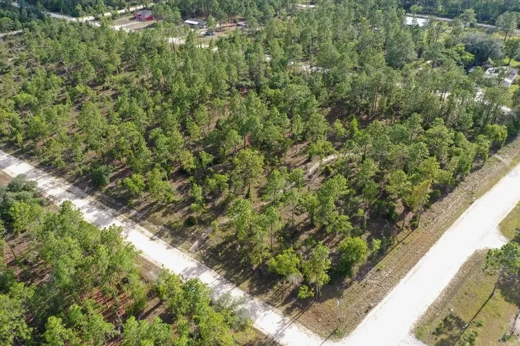 0000 NE 132 Terrace Lot 1 Terrace Williston FL 32696